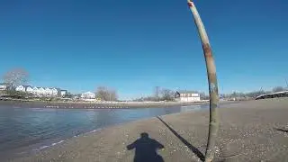 low tide at lemon creek beach