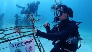 Reef Conservation 2025