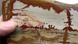 Owyhee Picture Jasper Display Slabs
