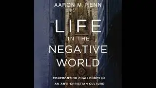 Life in the Negative World: Confronting Challenges in an Anti-Christian Culture by Aaron M. Renn