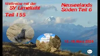 Sy-Limelight#155 Neuseelands s&uuml;den 6 #fjordland #weltreise #wohnmobil #dunedin #neuseeland #Robben