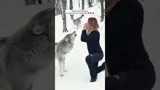 A wolf begged humans for help and led them to save his trapped partnerSD.mp4 #music #anime #song