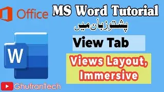 MS Word View Tab Full Tutorial | All Layout Views & Immersive Reader Explained in Pashto