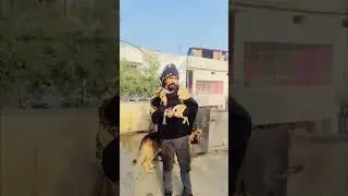 मैं फिर क्या देख रहा हूँ? बस गाँव की ओर जा रही है। 😂😂😂😂😂😂 #funny #comedyvideos #funnyclips