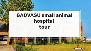 Gadvasu small animal hospital #veterinary #gadvasu #neet