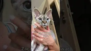 Zaczynałam przestawać lubić swoje odbicie w lustrze 🫩😭😢