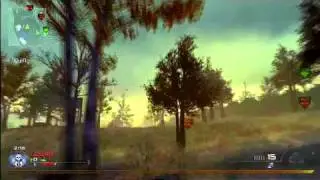 Modern Warfare 2 - Frags of 2010