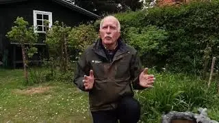 Gode r&aring;d til en vildere have - s&aelig;rlige blomster