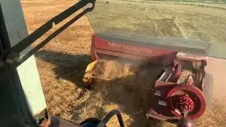 Making small square straw bales!