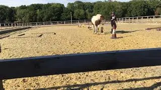 Weave pattern 2; Horse facilitated learning moment