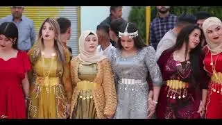 ٣