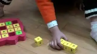 ABC order game (英文字母順序排列遊戲) [象盒子]