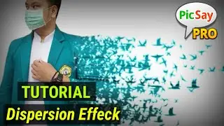 Tutorial Edit foto dispersion effek di android | PICSAY PRO