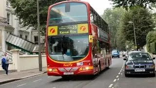 28 Bus Evolution