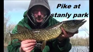 Fishing Blackpool Stanley park for pike, part one