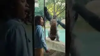 #funny #animals #cute #wildlife