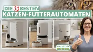 Bester Katzen-Futterautomat - Meine Top-3