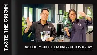 October 2025 | Discovery Subscription | Taste the Origin | XLIII Coffee