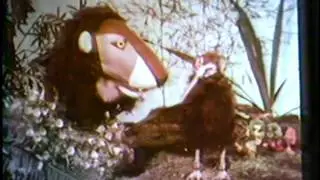 BroBuzz#25 StrangeAnimals