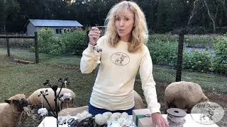 Unboxing the Holiday 2020 Gift Box with Artisan Wool Sheep