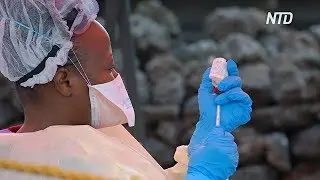 ВОЗ обеспокоена одним из случаев заболевания Эболой в ДР Конго