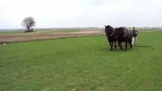 Klacze zimnokrwiste - Bronowanie