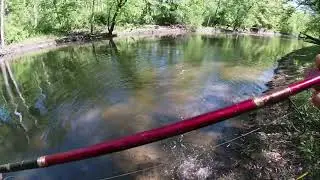 Des Plaines River Fishing-I caught a sauger!! #fishing #cpr #freshwaterfish #sauger #desplainesriver