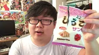 Let's Try Classy Japanese Snacks with Tea (Bokksu June 2018)