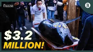From Sea to $3.2 Million: The Tuna That Shocked the World | The Business Standard