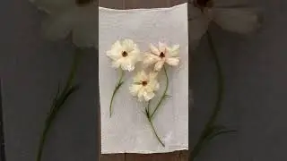 3 способа сохранить цветы