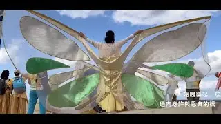 蝴蝶翅膀拜舞 Butterfly Wings (Traditional Chinese translation) Anna Rowena