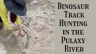 Dinosaur Track Hunting in the Pulaxy River
