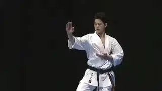 Shinkyokushin Kata - Pinan sono Yon (4) 新極真会型平安その4