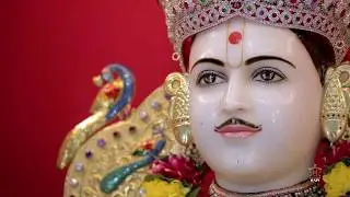 Shri Swaminarayan Jayanti, Guruhari Darshan 14 Apr 2019, Sarangpur, India