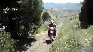 MOV02399