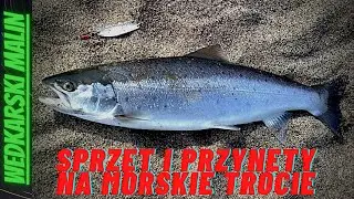 Morskie trocie przynęty sprzęt