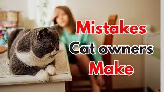 10 Common Mistakes Cat Owners Make