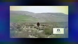 افضل قصة كافية تاريخية واقعية لفرحات ولد الكاهية صالح : منذر جبابلي