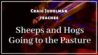 Sheeps and Hogs Going to the Pasture: Fiddle Lesson with Craig Judelman