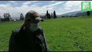 Crop Booster (Incremento de producci&oacute;n y calidad de Pasto en Ecuador)