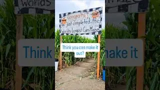 Would you dare to take on the world&rsquo;s largest corn maze? 🌽 #pumpkinpatch #travelshorts