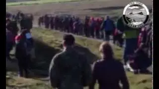tentors.mpg