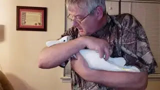 Onni's Bedtime Routine .. Except He Doesn't Want To Go