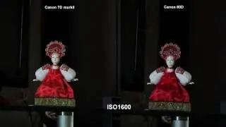 Canon 7D MarkII vs Canon 80D _2