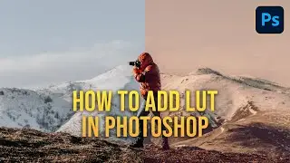 How to add LUTs in adobe photoshop