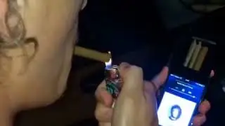 Phone case to sneak joints into concerts
