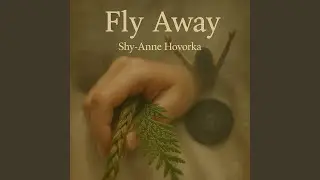 Fly Away