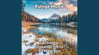 Ambient