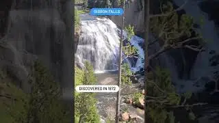 Gibbon Falls #yellowstonenationalpark #shorts