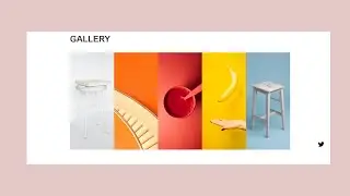 How To Make An Image Gallery Using HTML And CSS | Image Gallery Design Tutorial